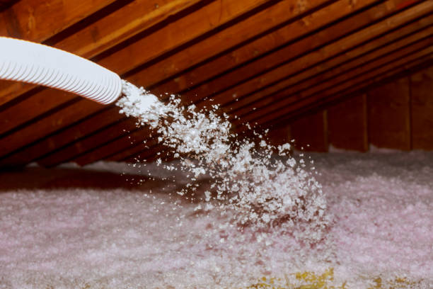 Types of Insulation We Offer in Daytona Beach, FL